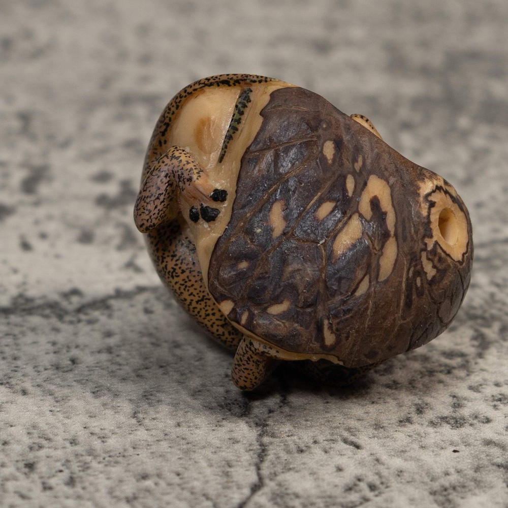 Double Brown Gecko Lizard Tagua Carving