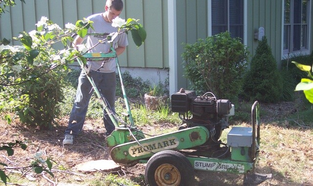 Promark 16D Stump Grinder Shaft with Bearings