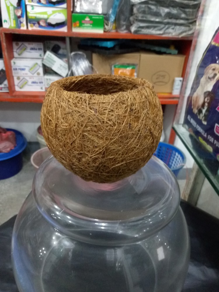 3 pcs Coconut Basket for Planters, Natural Coco Coir Basket Coco Replacement