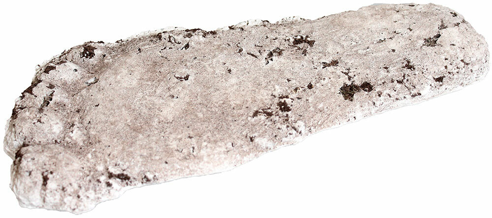 Arcane Artifacts Bigfoot Track Casting FULL SIZE Footprint Sasquatch NOT PLASTER