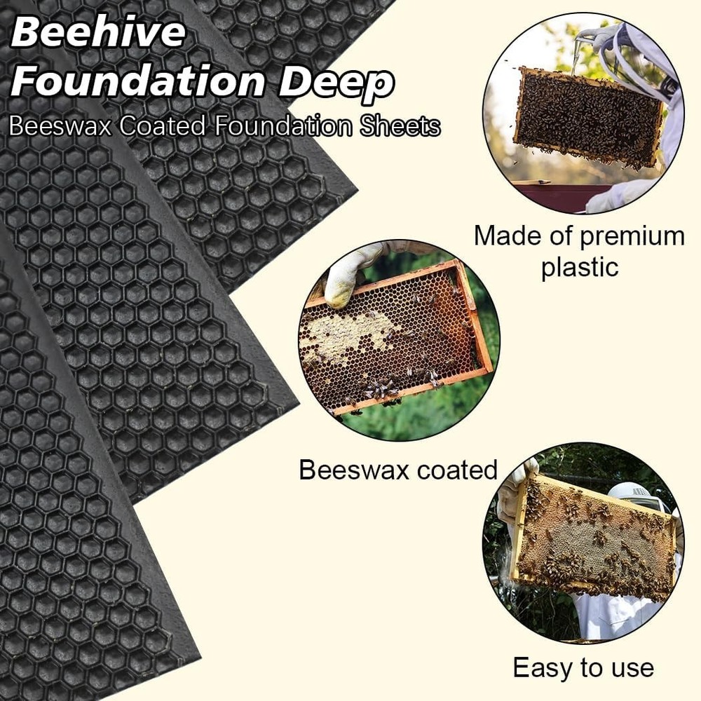 Natural Beeswax Coated Deep Foundation Sheets for Easy Beekeeping - 10 Pack