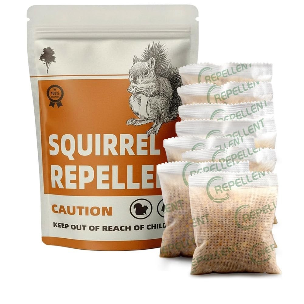 KQCWKH Squirrel keep out of