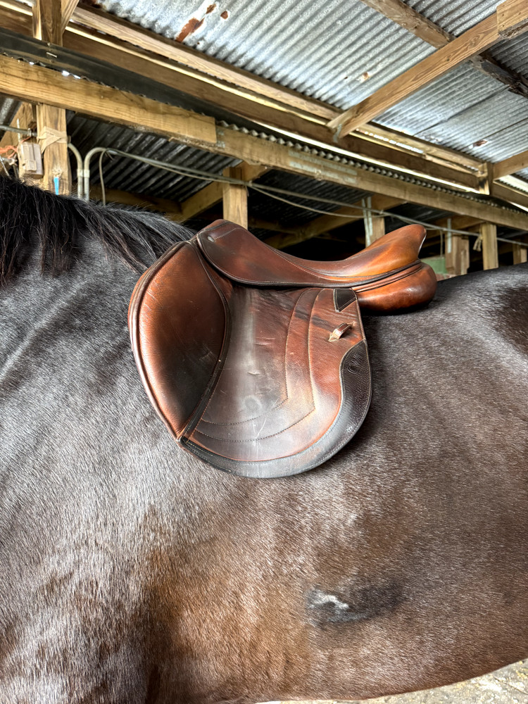 CWD Hunter Jumper Saddle 17.5 SE02