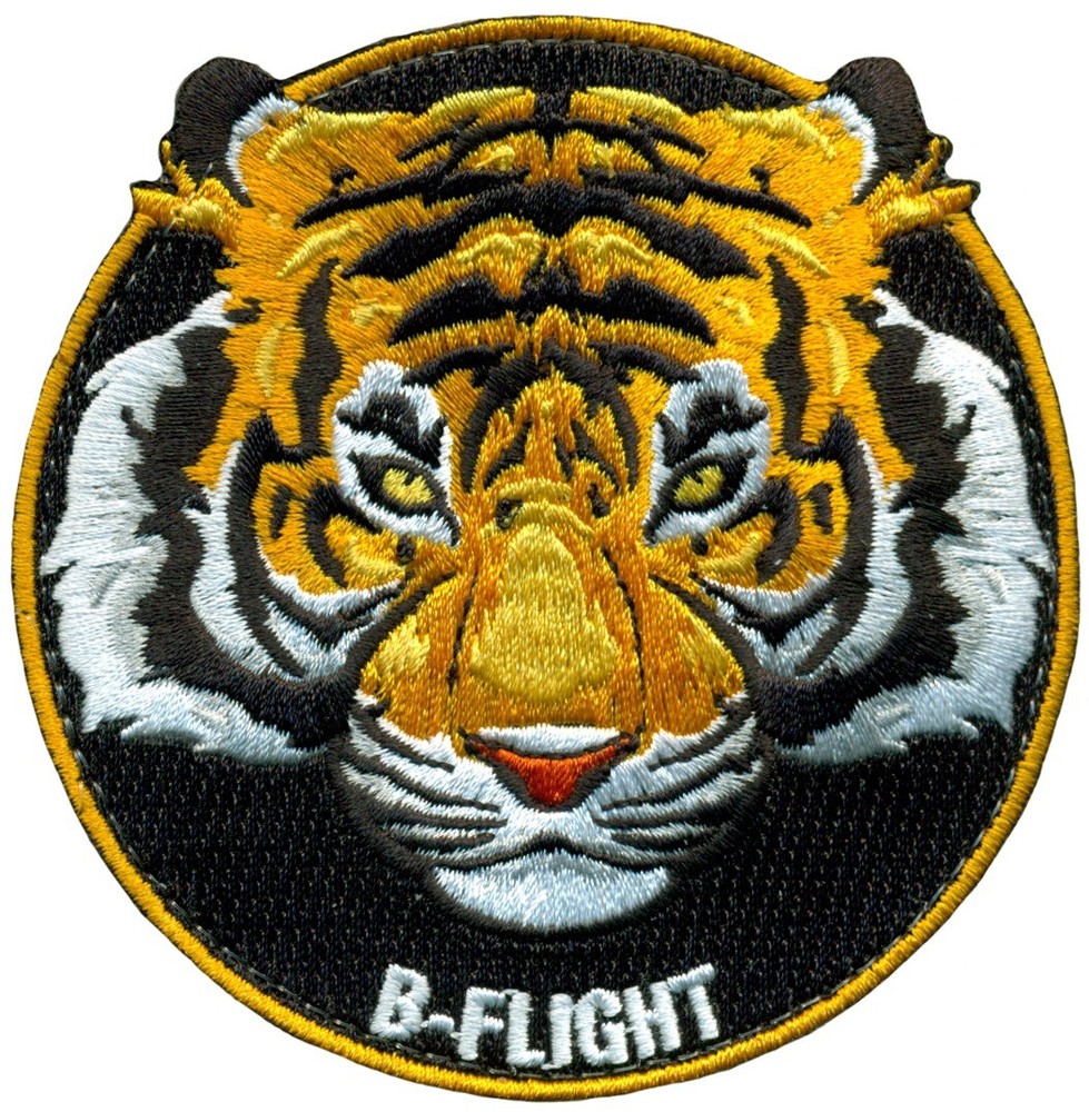 USAF 489th ATTACK SQUADRON – B FLIGHT PATCH