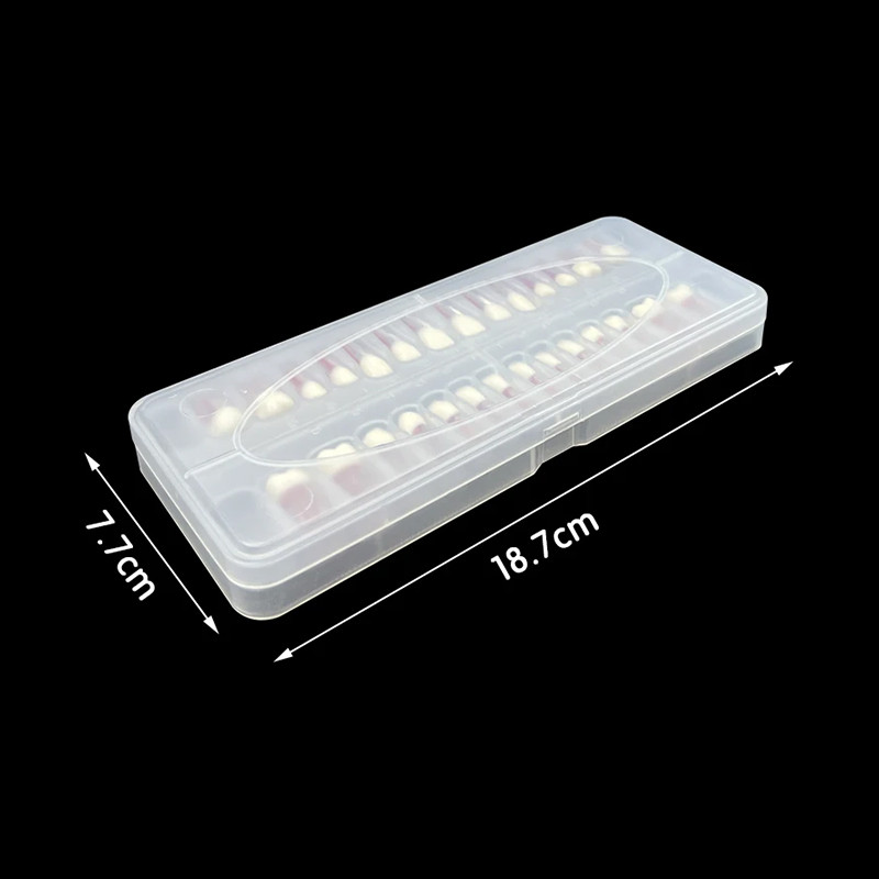 Dental Endodontic Teeth Model Root Canal Practice Typodont Teeth Model 28Pcs