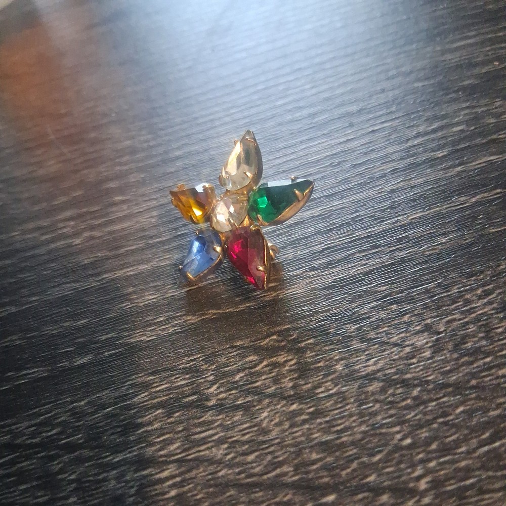 Vintage Masonic Eastern Star pin