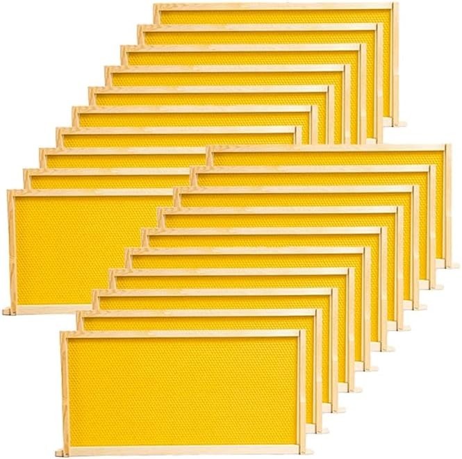 20 Pack Deep Brood Beehive Frames with Wax Foundations Honey Bee Frames New