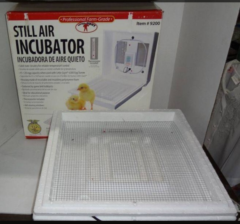 Circulated air incubator