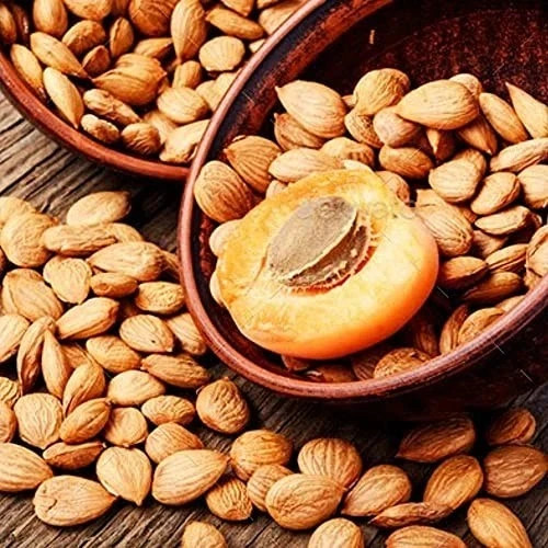Bitter Apricot Kernels Organic Raw (1 LB) USDA Organic Certified - Turkey