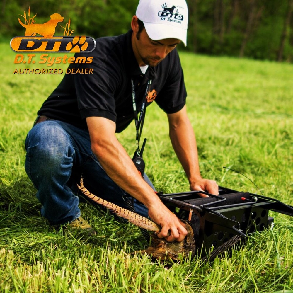 DT Systems BL 509 Small Bird Launcher System for Quail & Pigeon with Transmitter