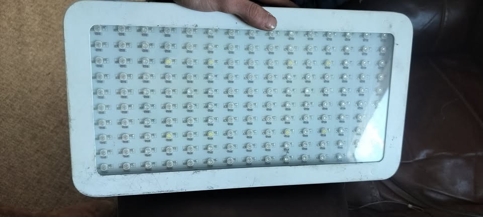 1000 watt led grow light full spectrum