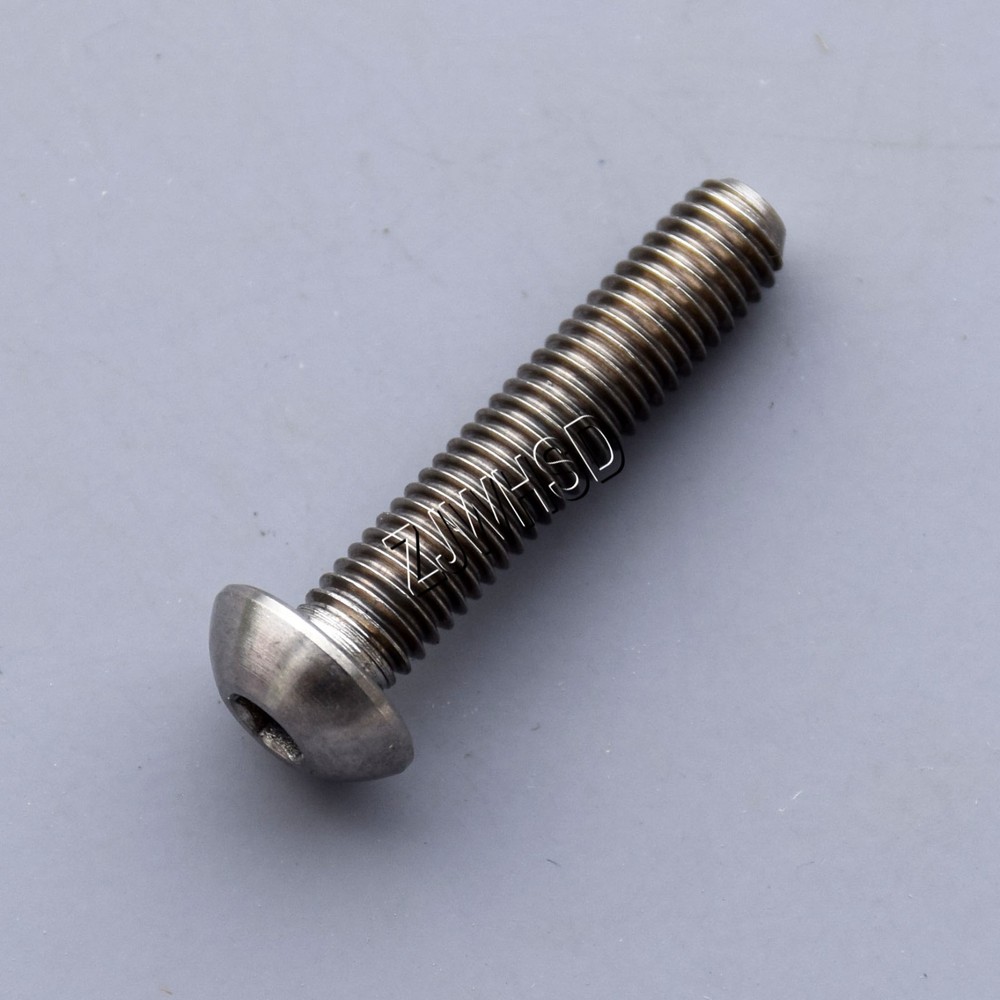 M5 x 25 mm Ti Titanium Screw Bolt Allen Hex Socket Button Head Aerospace Grade