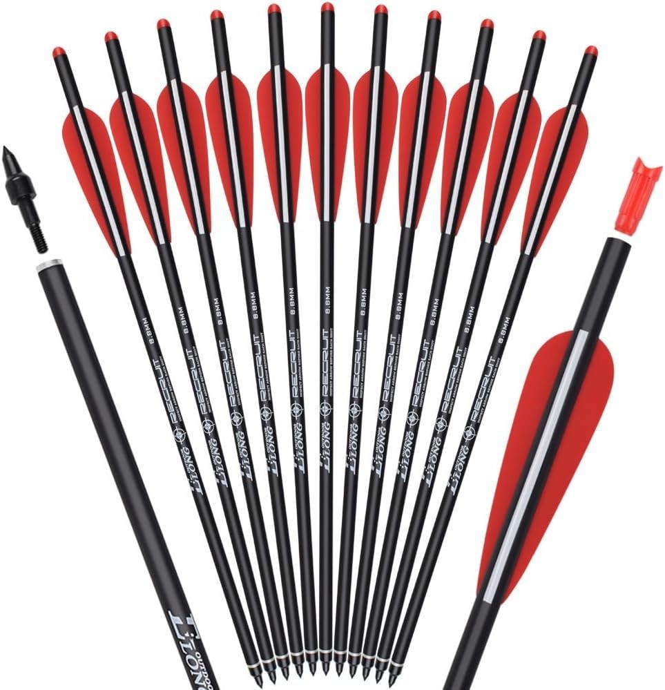 Lightweight Carbon Hunting Arrows - 12 Pack for Effective Target Practice