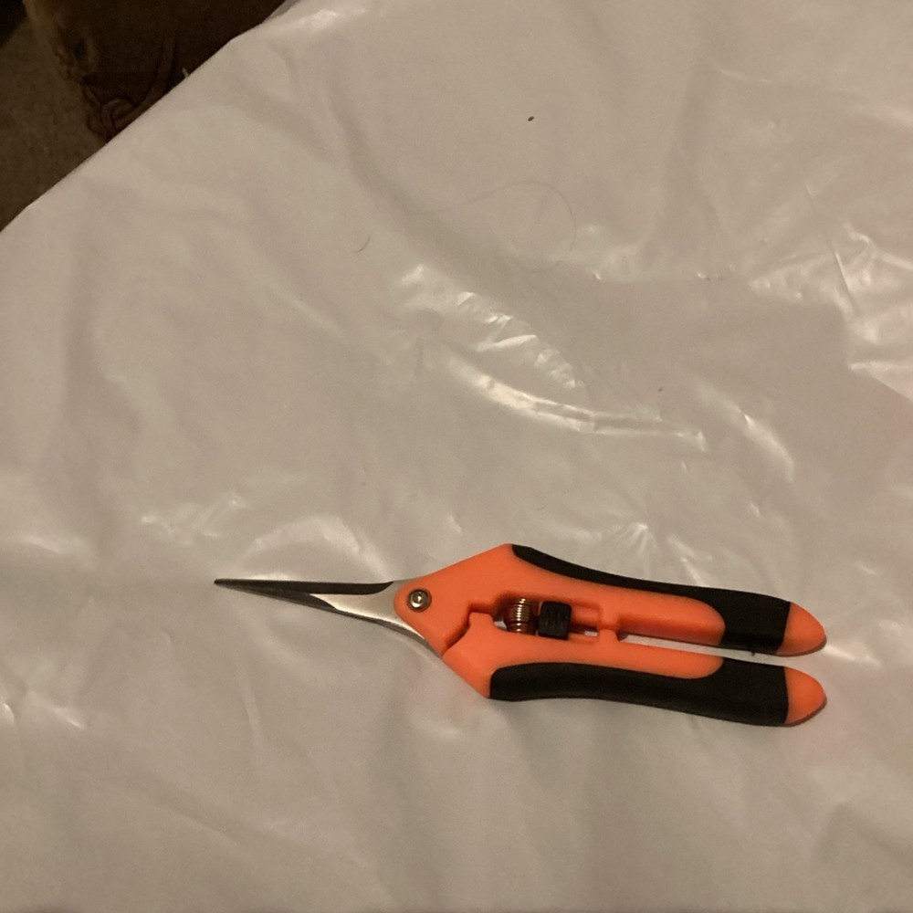 2 PCS Pruning Shears Pruning Shears for Gardening (M1)