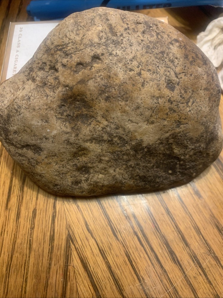 Fossils