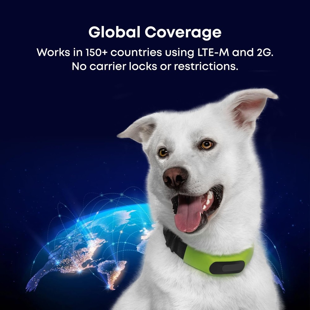 Collar - Reliable GPS and Activity Tracker for Dogs