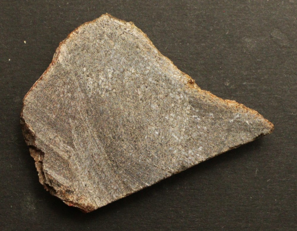 JG Agatized Gem Dinosaur Bone Slab 29.3 grams 036
