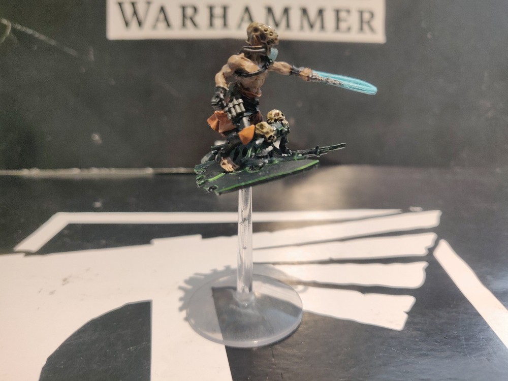 Warhammer 40k Dark Eldar Drukhari Beastmaster