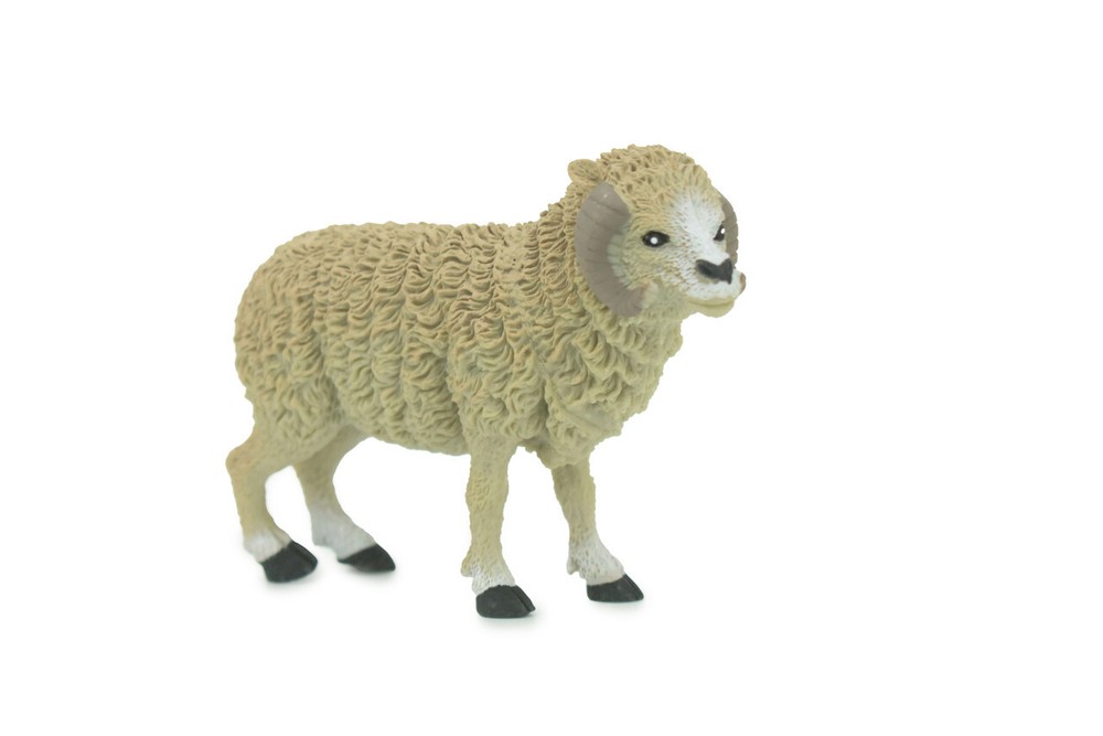 Sheep Toy, Ram, Hand Painted, Plastic Animal, Realistic Model, 4 1/2" WR18 B233