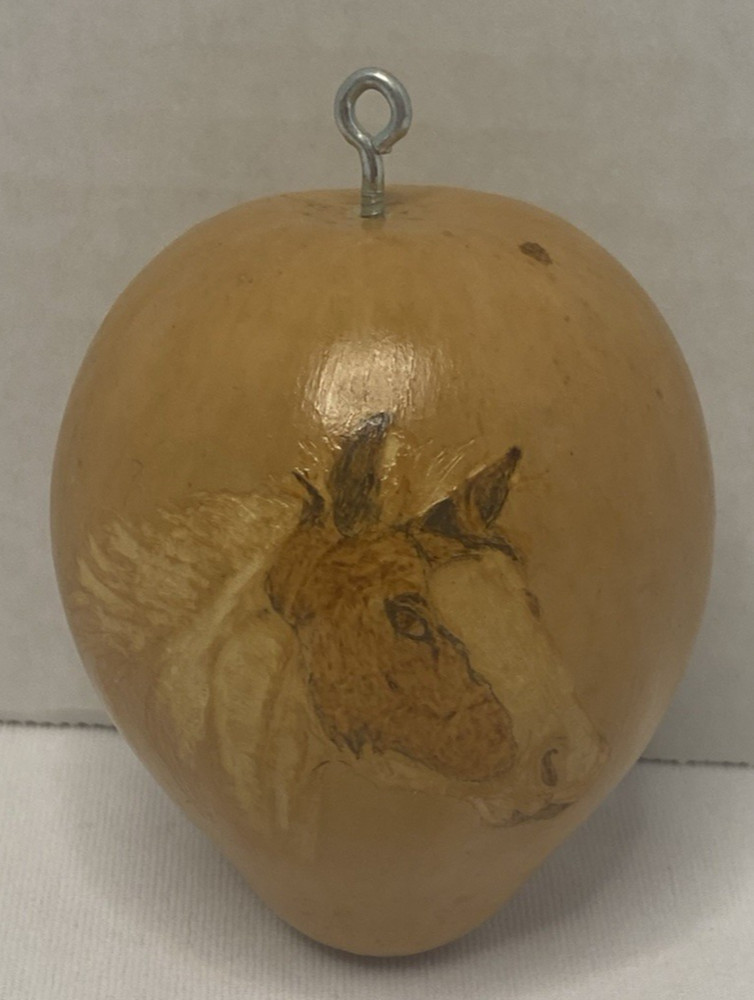 HAND PAINTED GOURD WITH HORSE HEAD