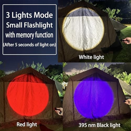 LED Rechargeable Red Flashlight, LED Small 395 NM Black Flashlight with 2 Pack