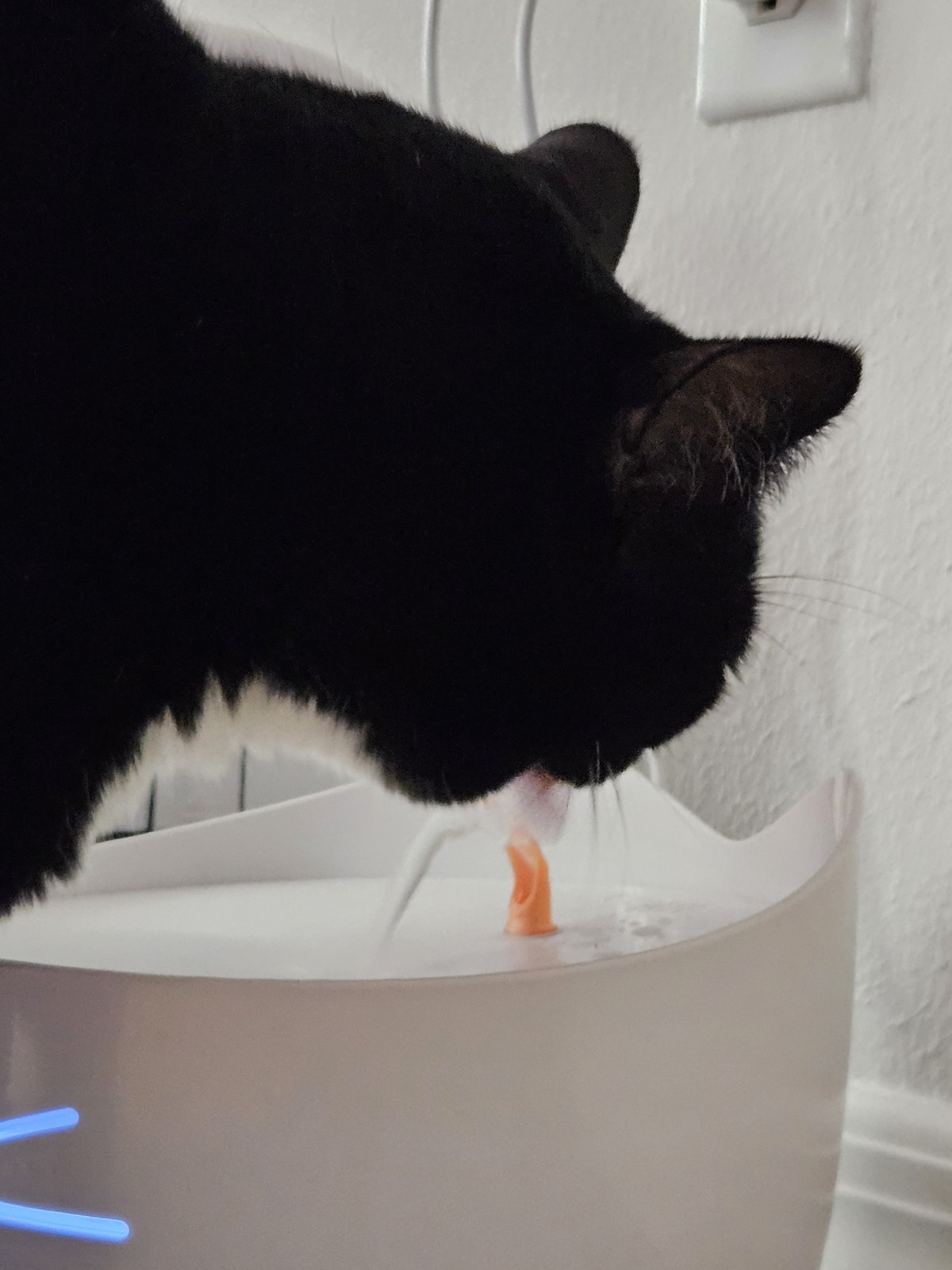 Catit Pixi Water Fountain Replacement Spout (3 Pack)