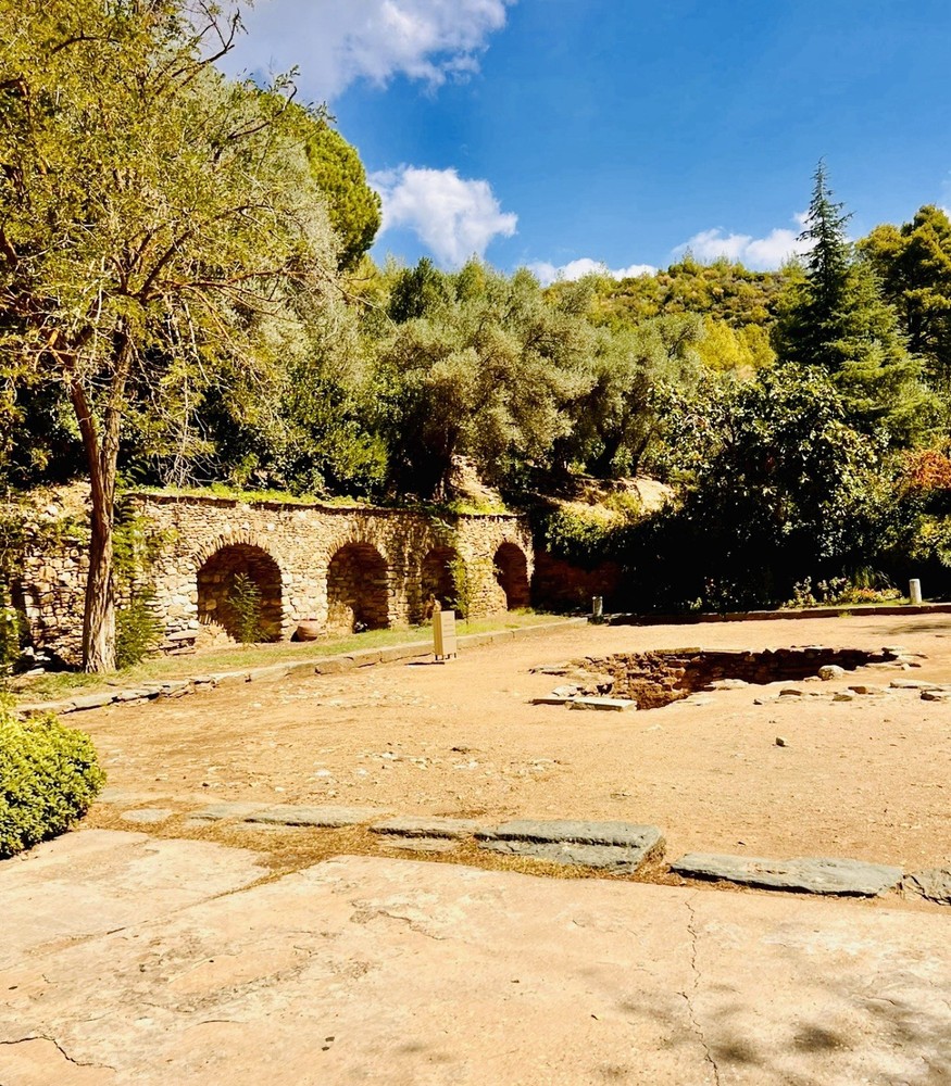 Rosary With Mother Mary Case