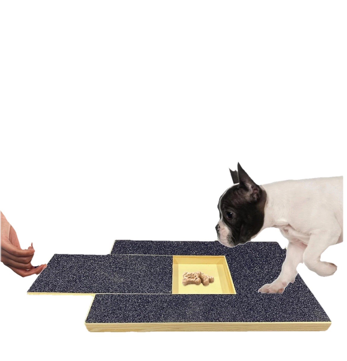 Deluxe Dog Scratch Pad Bundle with Snack Compartment