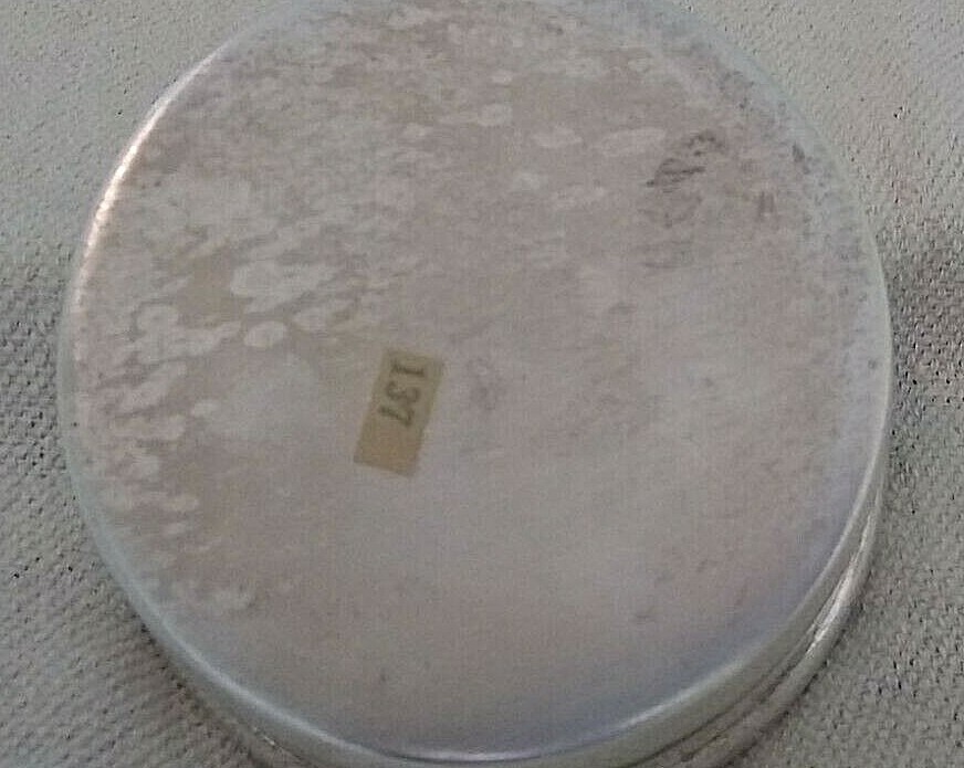 Vintage Silver Plated container India silver plated container 3''h x 4.5''dia