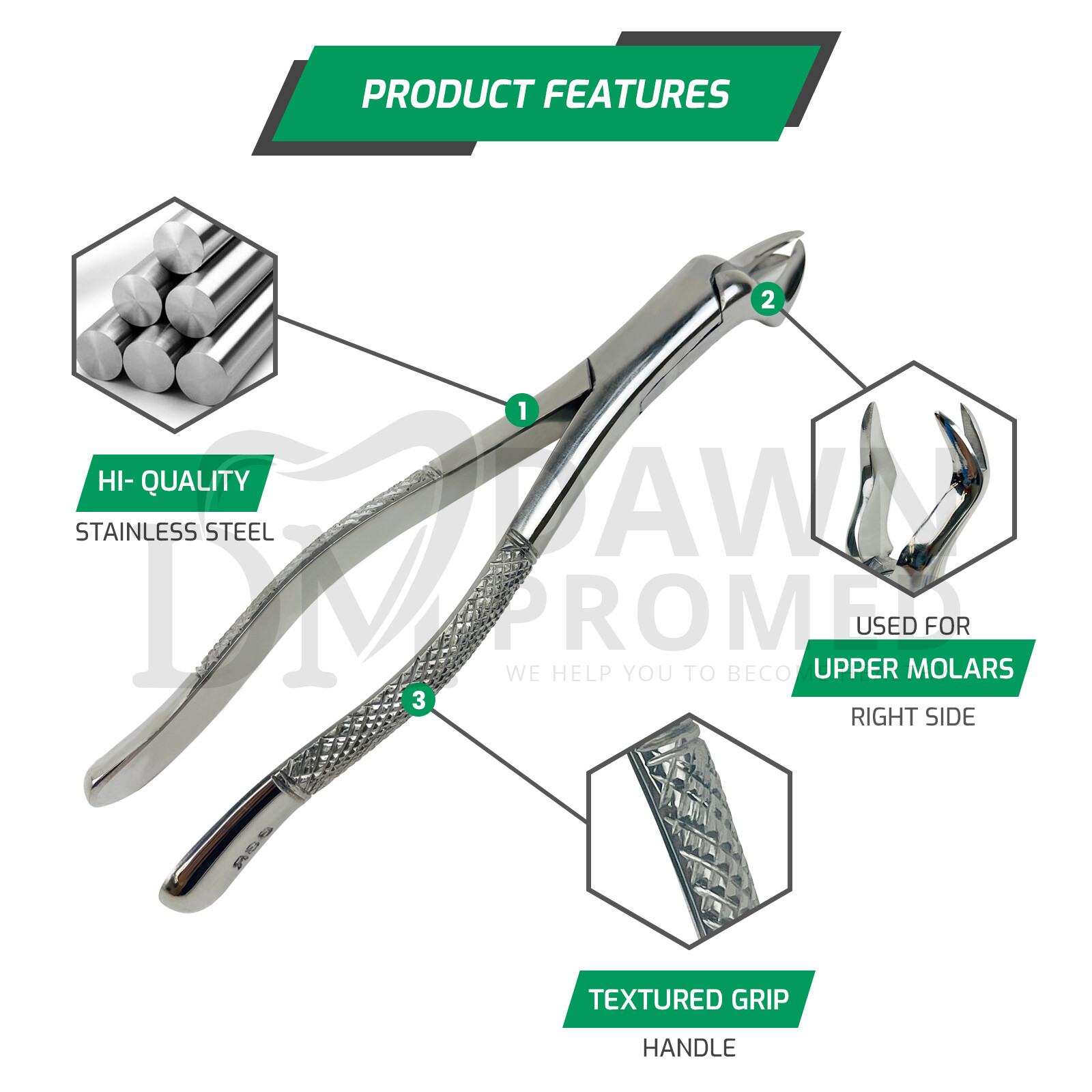 Dental Extracting Forceps 88L & 88R Molar Tooth Extraction Surgical German Grade