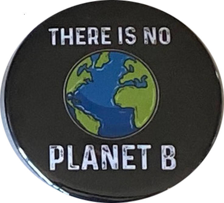 Climate Change Pins - Stop Climate Change buttons - Set of 8, 2.25 inches