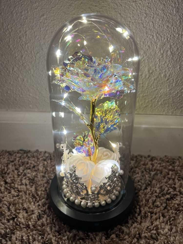 One Preserved Flower, One Endless Love