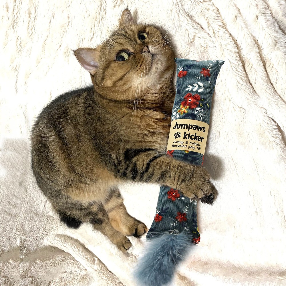 Jumpaws 2 Pack Natural Interactive Catnip & Silvervine Cat Kicker with...