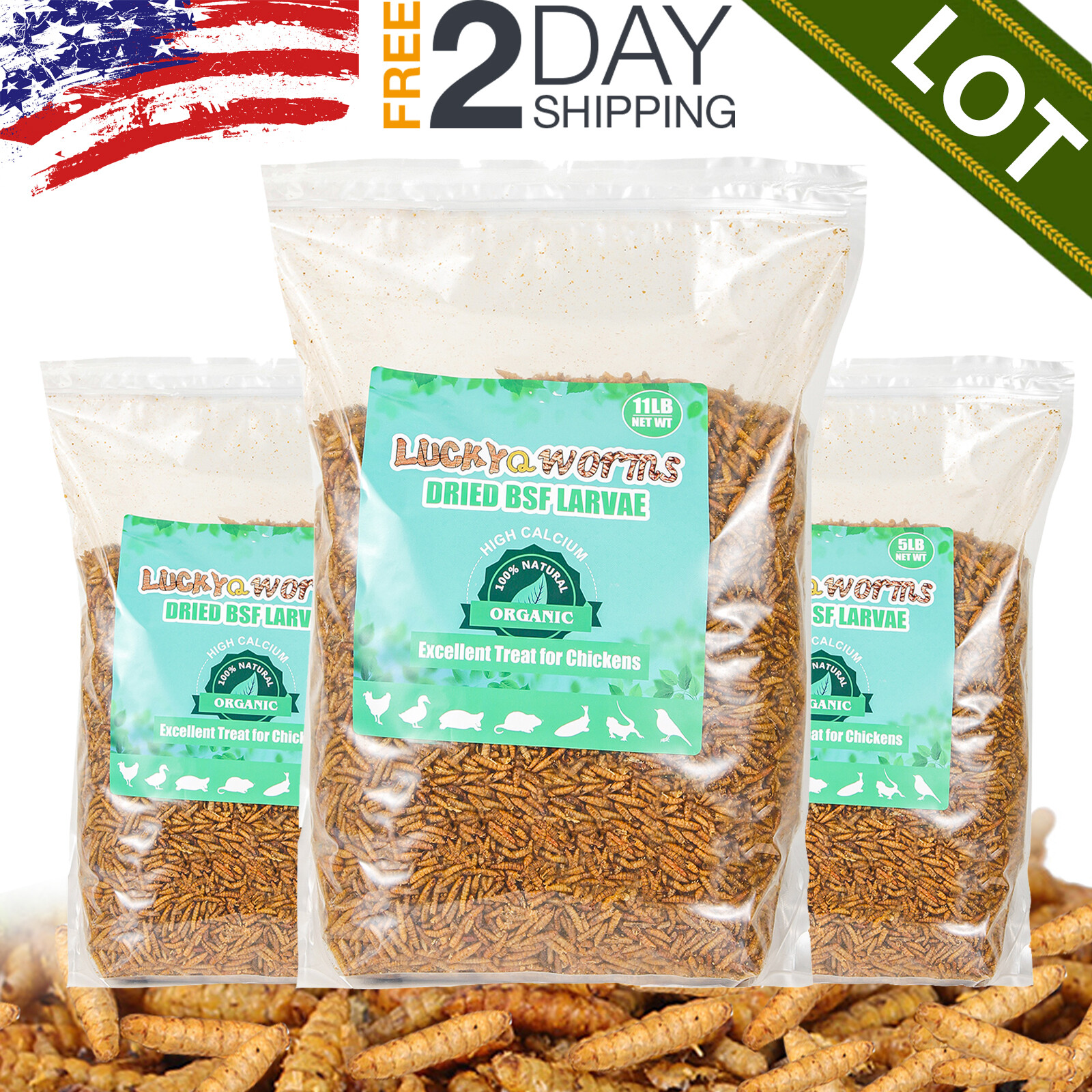 Dried Black Soldier Fly Larvae Mealworms for Chickens Fish Turtles Hen Birds LOT