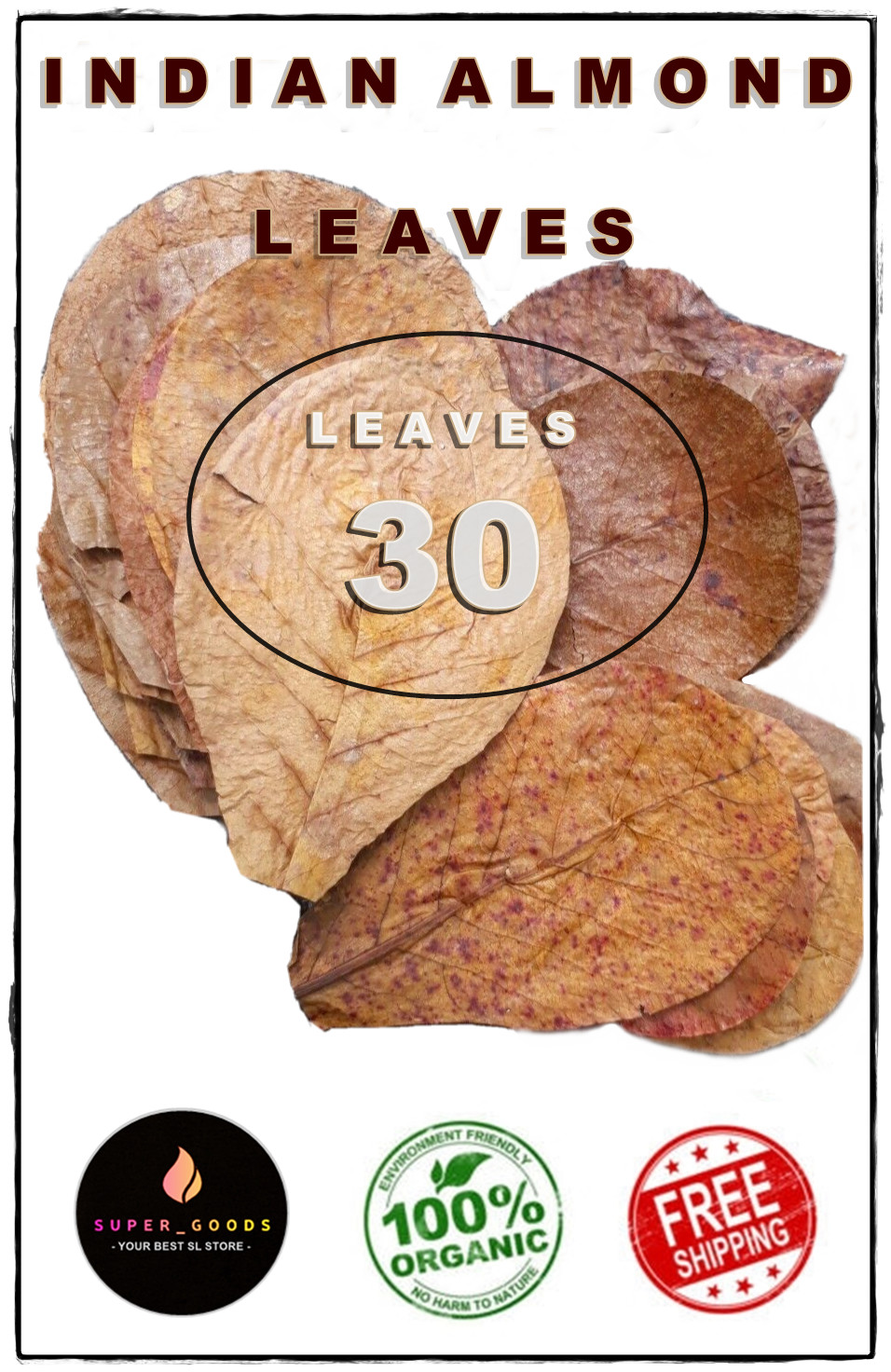 1000Pcs Indian Catappa Almond Leaves 5'' Tannins for Bettas, Discus, Aquarium