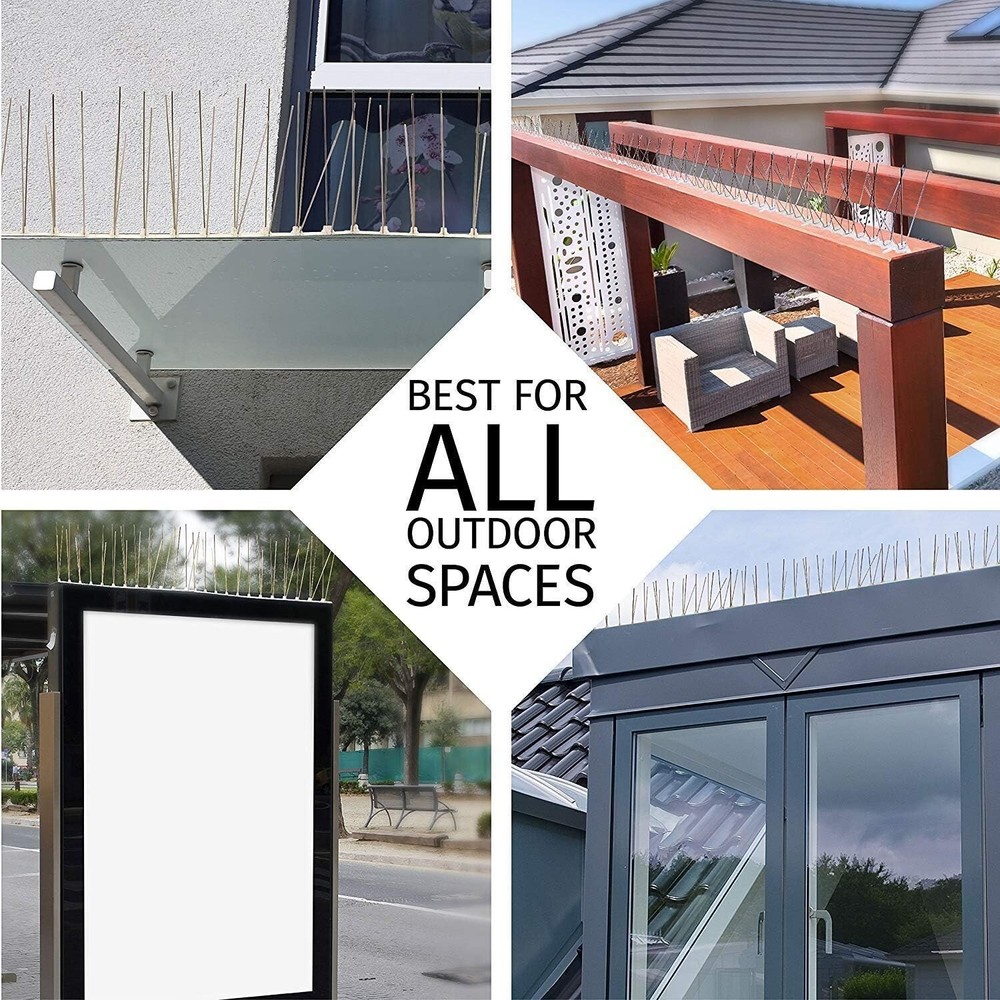 Durable Stainless Steel Bird Spikes for Elevated Areas - 10ft Coverage with Glue
