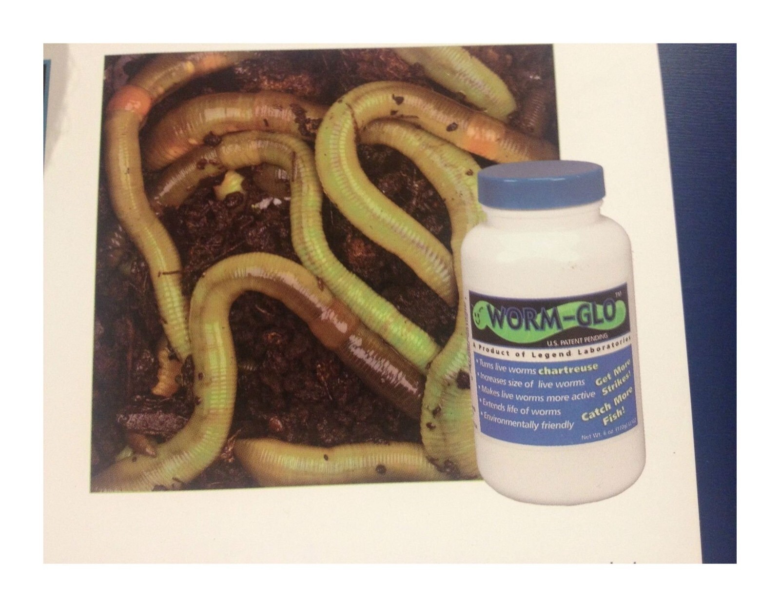 Legend Worm Glo Turns Live Worms Chartreuse 6oz. or 1.5 Lbs. Plastic Bottle