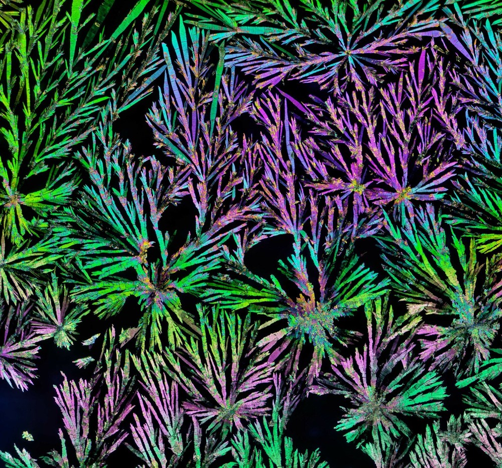 Microscope slide for polarization, THEOBROMINE
