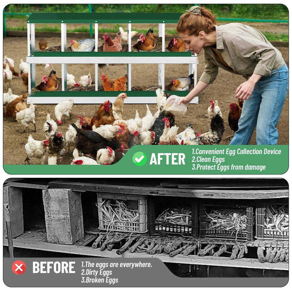 10 Holes Chicken Nesting Box, Metal Chicken Nesting Boxes, without Bracket Legs