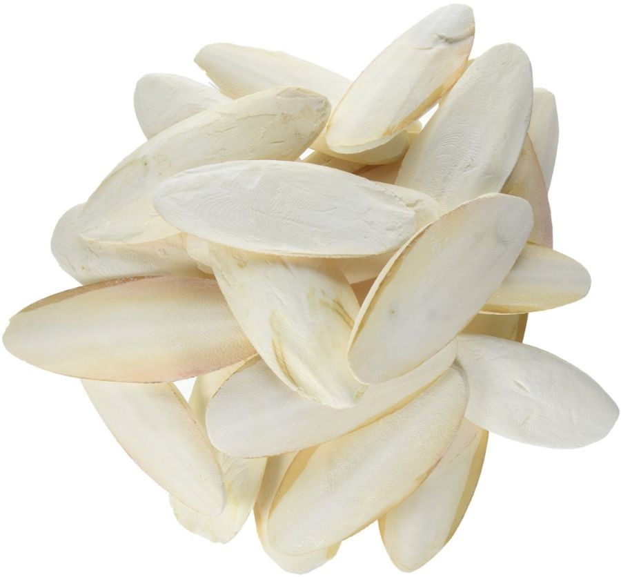 Bird, Prevue Cuttlebone Birdie Basics Medium 5 Inch Long (25 count)