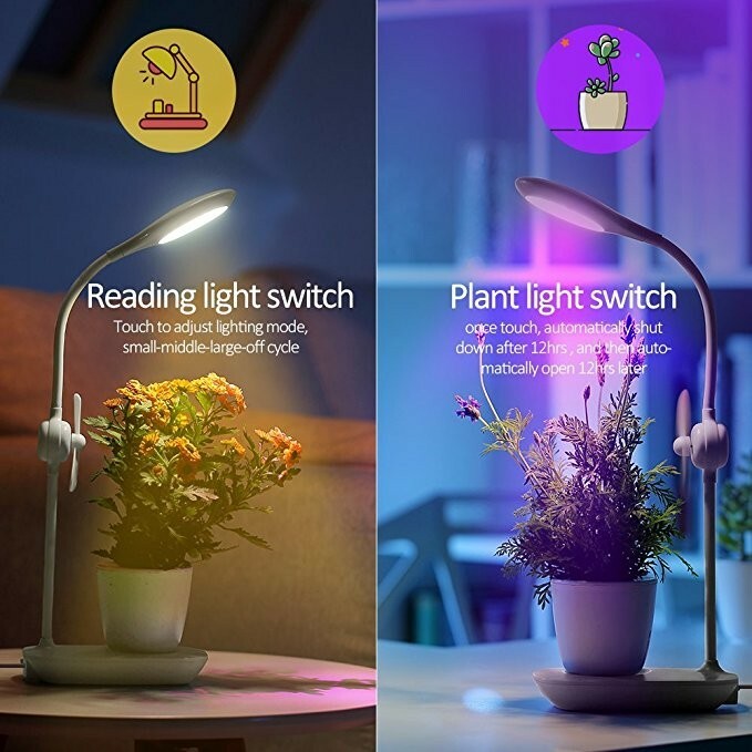 Desktop PLANT LIGHT! Mini LED Office Desktop or Side Table Grow Lamp Adjustable