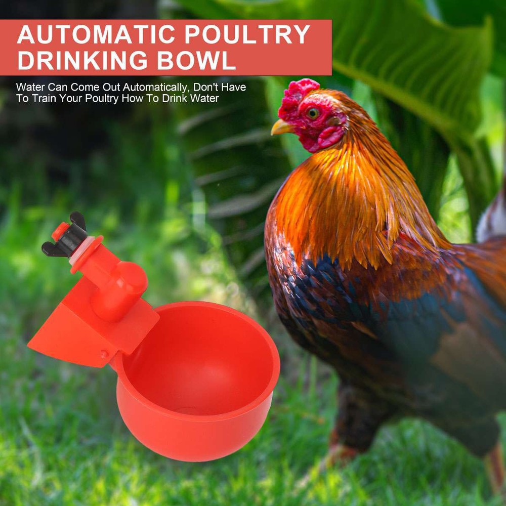 6Pcs Automatic Water Cups Poultry Drinker Waterer Chicken Duck Quail Drinking US