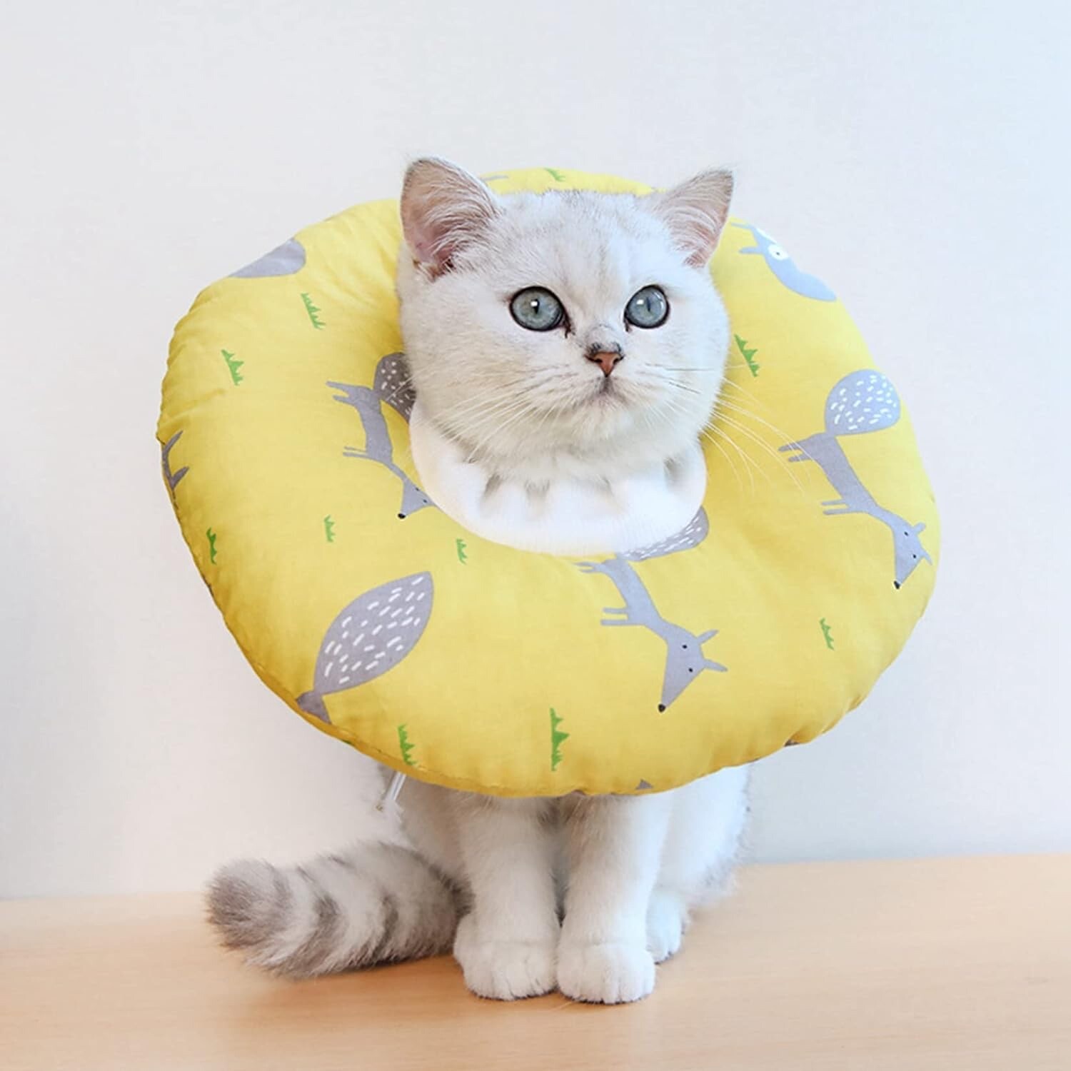 Soft E-Collar Dog Puppy Cat Cone Bumper Wound Protective Recovery Tiny XS S