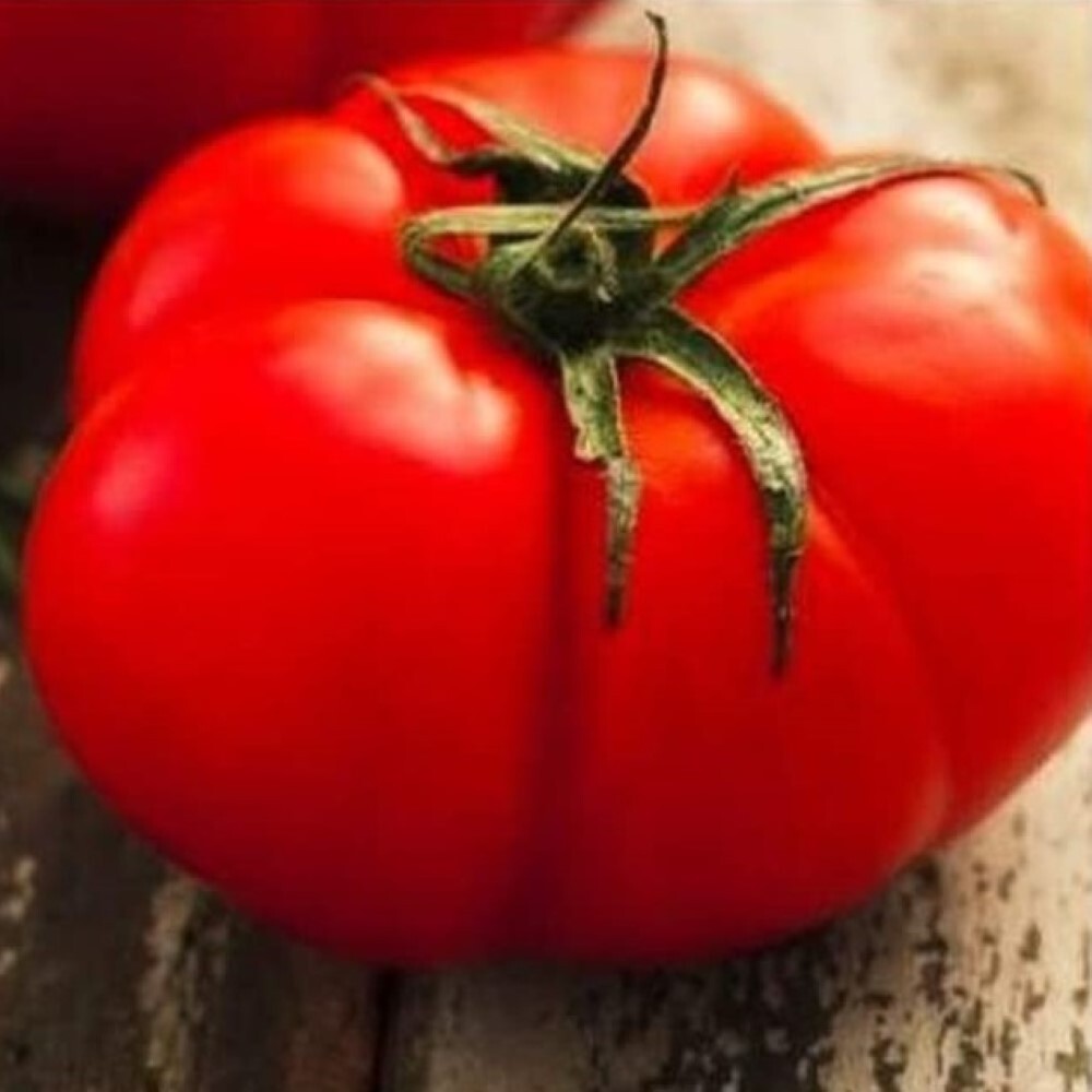Beefsteak Tomato Seeds | Heirloom Tomato Seeds | Fresh NON-GMO Vegetable Seeds