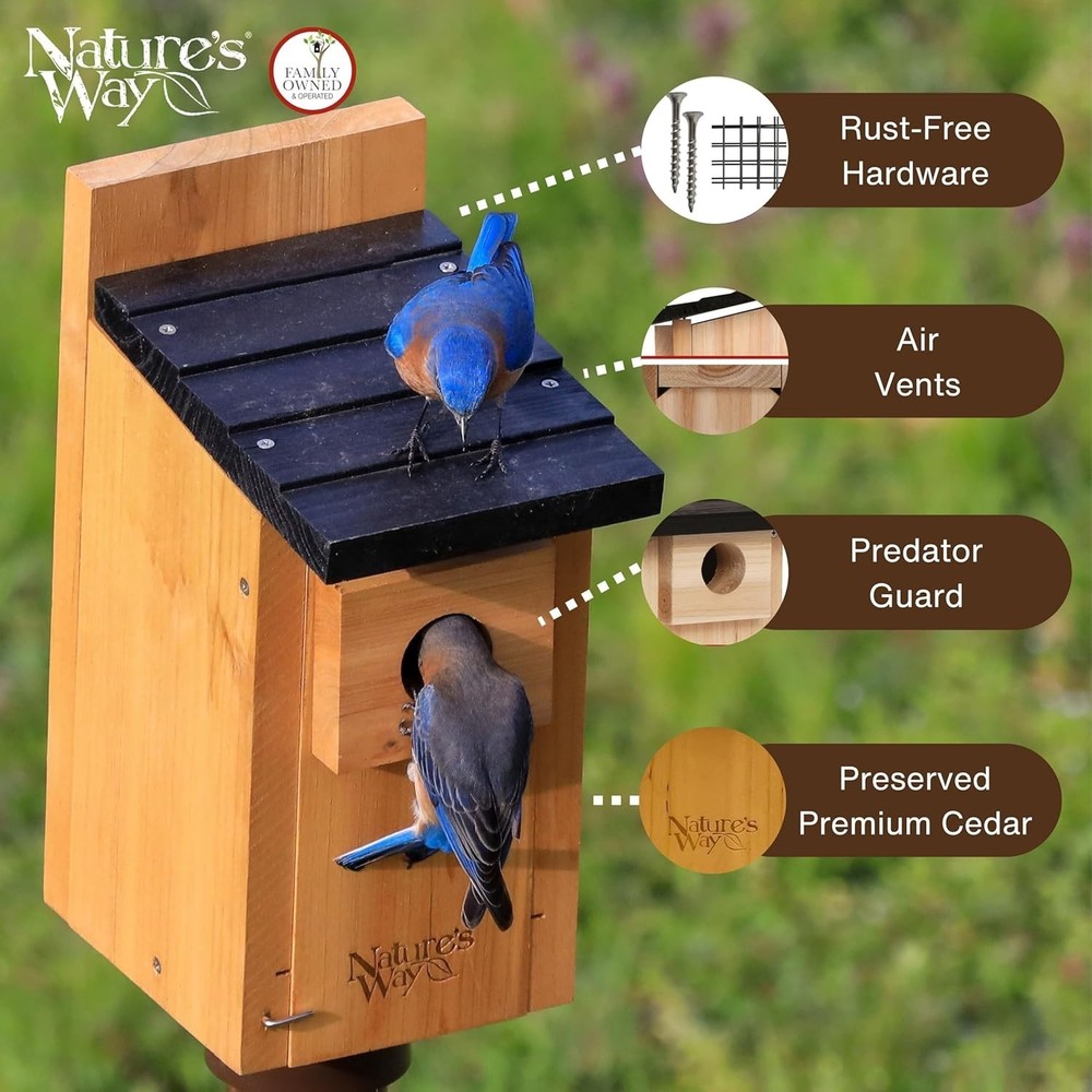 Durable Bluebird Box for Pet Lovers