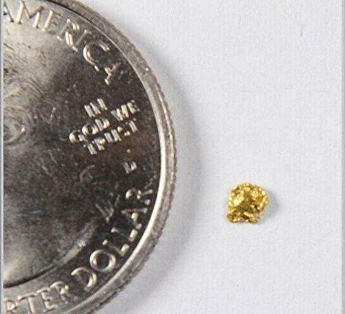 Alaskan-Yukon BC Gold Rush Natural Gold Nugget 0.10 Grams Genuine "In Bottle"