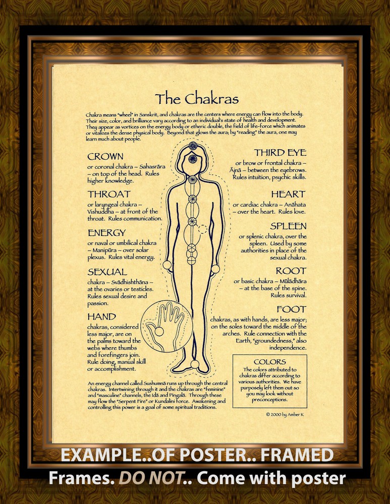 THE CHAKRAS Poster Page Reference Guide Page 8 1/2" x 11"