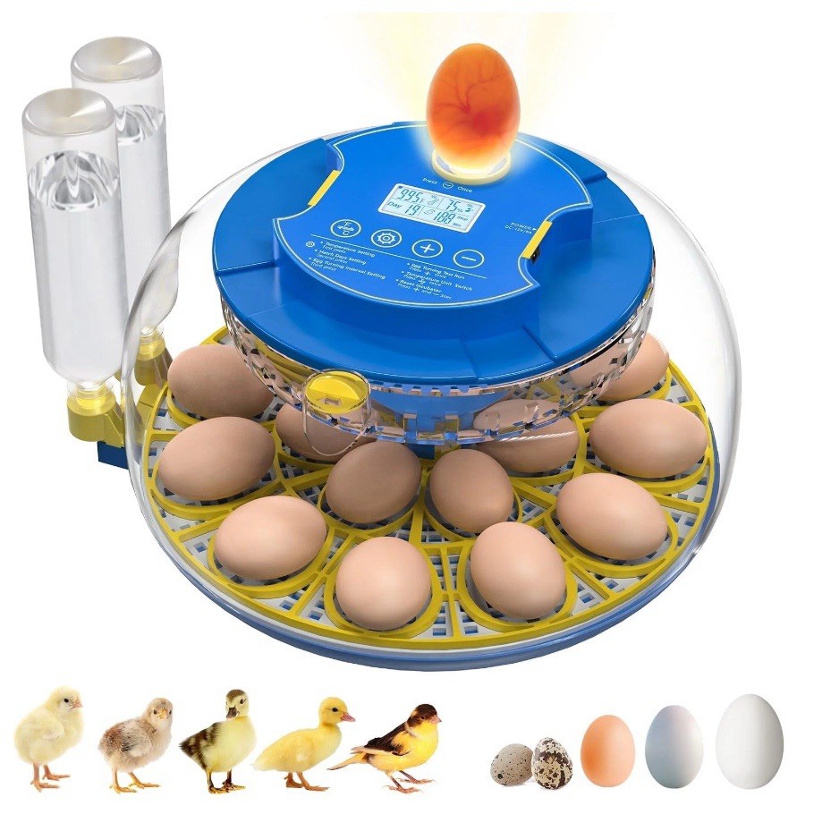 18 Egg Incubator with Automatic Egg Turning and Humidity Control, 360° View Auto