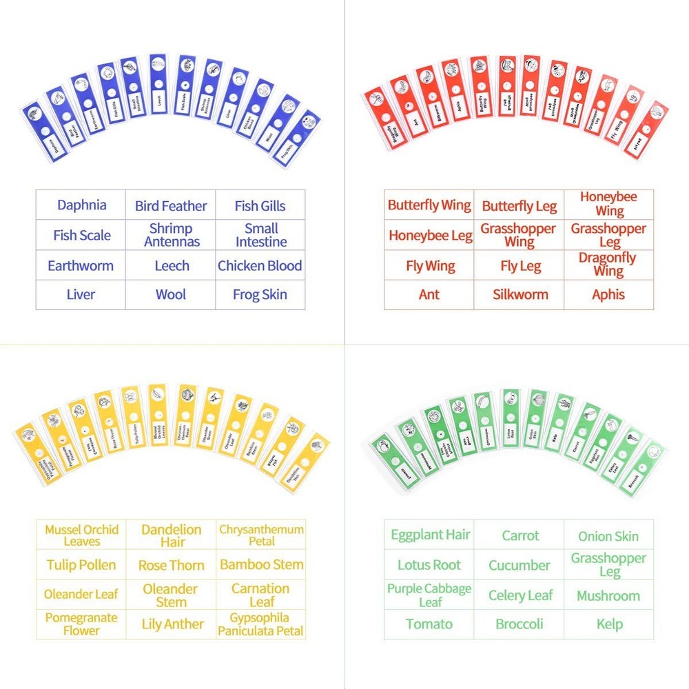 Explore Nature with 48pcs Prepared Plastic Microscope Slides for Children