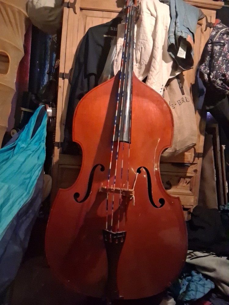 Bass Cello